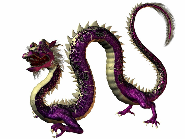 Eastern Dragon - Foto, Imagem