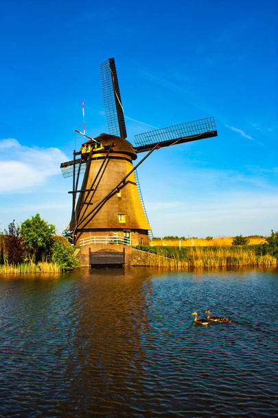 Větrný mlýn v Kinderdijk - Krásný slunečný den - Fotografie, Obrázek