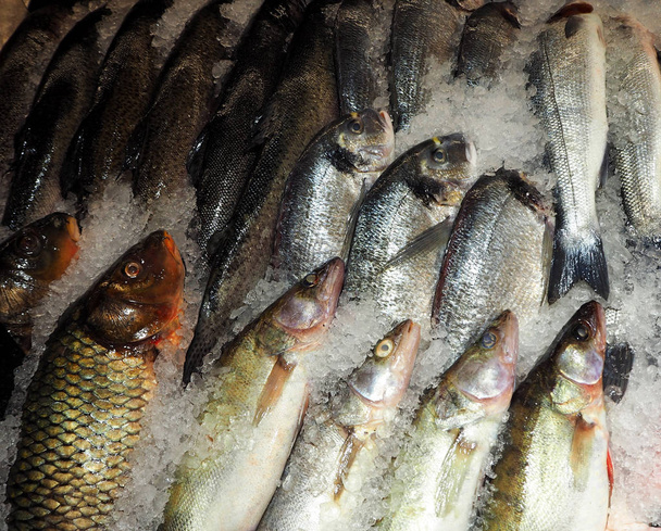 Κατεψυγμένα ψάρια στον πάγο στο σούπερ μάρκετ - Φωτογραφία, εικόνα