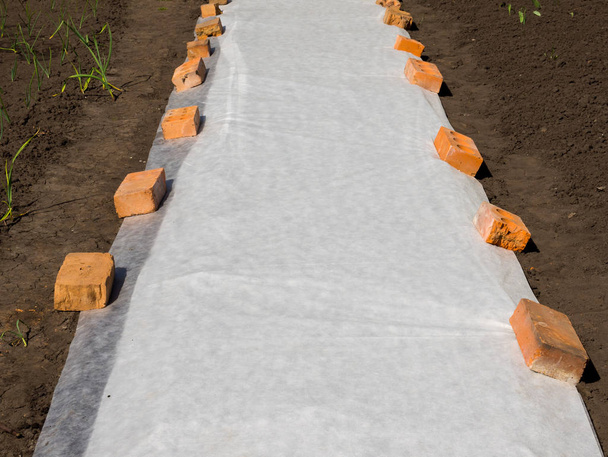 Application of a covering material on an earthen bed to protect seedlings - Photo, Image