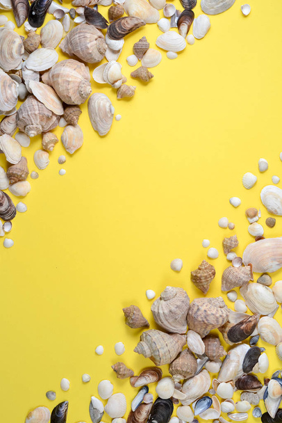 Creative flat lay concept of summer travel vacations. Top view of various kinds seashells on yellow background. Copy space in minimal style, template for text - Foto, Bild