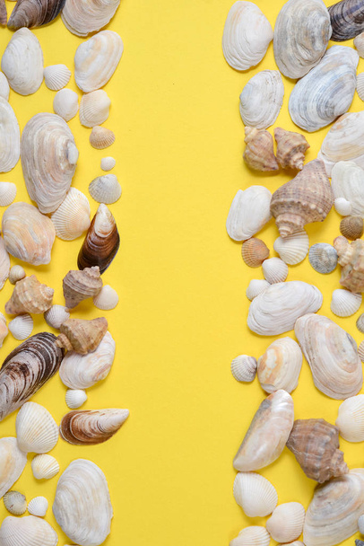 Summer composition.Flat lay, top view of various kinds seashells - Foto, imagen