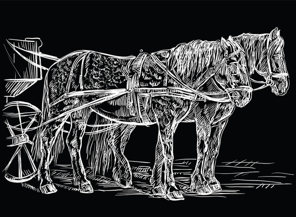 Διανυσματική εξάρτηση άλογα μαύρο - Διάνυσμα, εικόνα