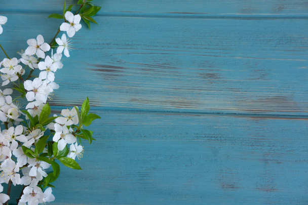 Spring flowers of cherry on a wooden background with a place for an inscription. Design for greeting card with cherry flowers. Template, blank for spring banner, blog post with spring flowers. - Photo, Image