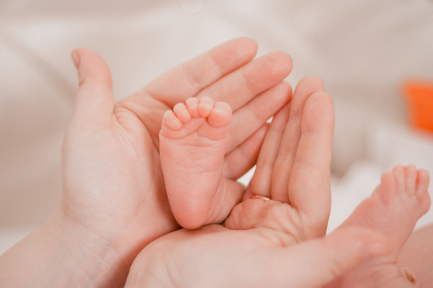 Grossesse, maternité, préparation et attente maternité, concept d'accouchement. Nouveau-né pieds de bébé dans les mains de maman
 - Photo, image