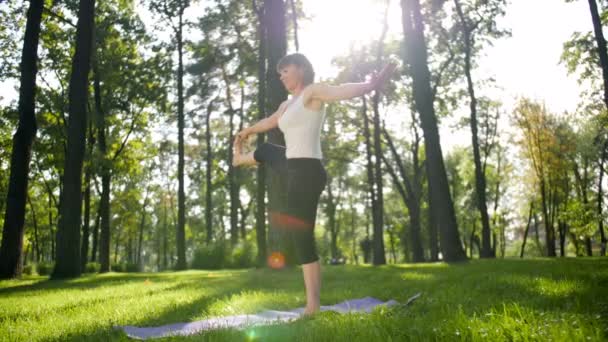 4k Zeitlupenaufnahmen einer lächelnden Frau mittleren Alters, die an einem sonnigen Sommertag im öffentlichen Park Yoga praktiziert. Konzept der körperlichen und geistigen Gesundheit - Filmmaterial, Video
