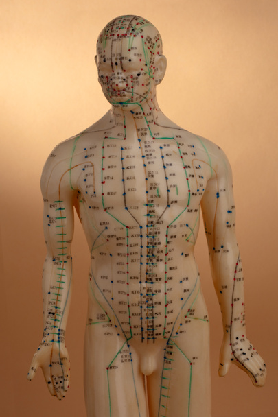 Modelo de acupuntura
 - Foto, imagen