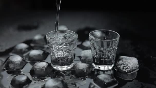 Het gieten van shots van wodka van een fles in glas. Zwarte achtergrond - Video
