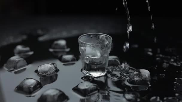 Echando vodka en un vaso. Fondo negro. Verter la bebida alcohólica
 - Imágenes, Vídeo