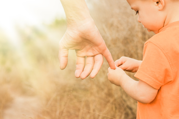 όμορφα χέρια ενός ευτυχικού παιδιού και γονέα στο φυσικό πάρκο - Φωτογραφία, εικόνα