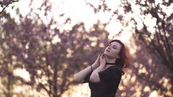 Πορτρέτο του Happy νέος χορεύτρια ταξίδι γυναίκα απολαμβάνοντας ελεύθερο χρόνο σε ένα πάρκο άνθος Sakura κερασιάς-Καυκάσιος λευκό κοκκινομάλλα κορίτσι-ντυμένο μαύρο σοκολάτα, μαύρο φόρεμα και μαύρο Golfs - Πλάνα, βίντεο