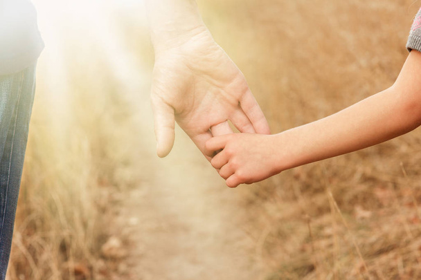 mãos bonitas de uma criança feliz e pai no parque da natureza
 - Foto, Imagem