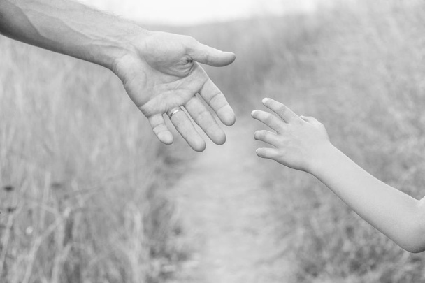 piękne ręce szczęśliwego dziecka i rodzica w parku przyrodnim - Zdjęcie, obraz