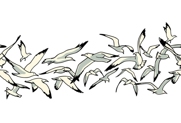 Padrão de gaivotas desenhadas à mão
 - Vetor, Imagem