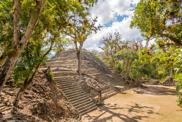 Zicht op de archeologische site van het westelijke Hof van Copan in Honduras - Foto, afbeelding