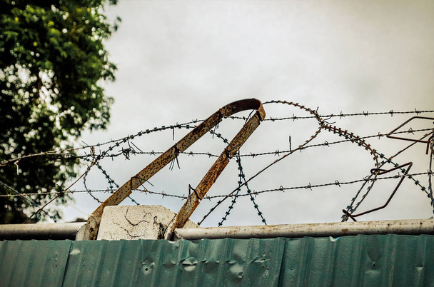 Колючая проволока на тюрьмах
 - Фото, изображение