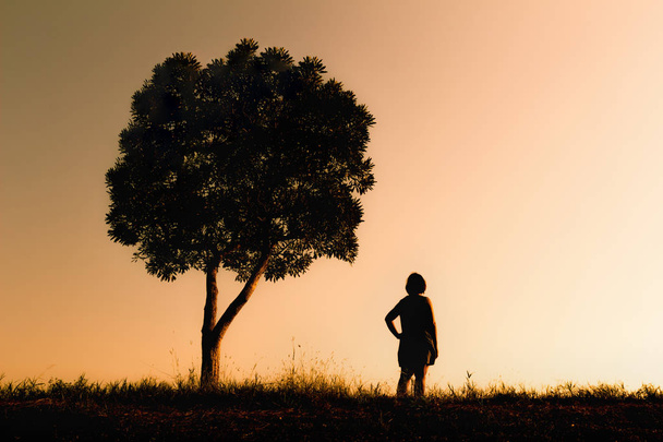 Immagine Silhouette, donna in piedi sotto un albero
. - Foto, immagini