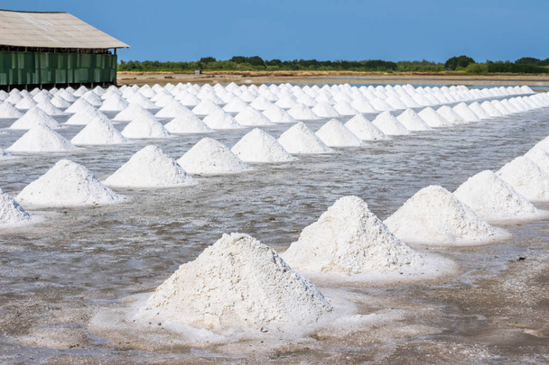 Montón de sal marina en la granja de productos de sal original hacen de agua salada oceánica natural preparándose para el último proceso antes de enviarlo al consumidor de la industria.Se hace en Tailandia
 - Foto, imagen