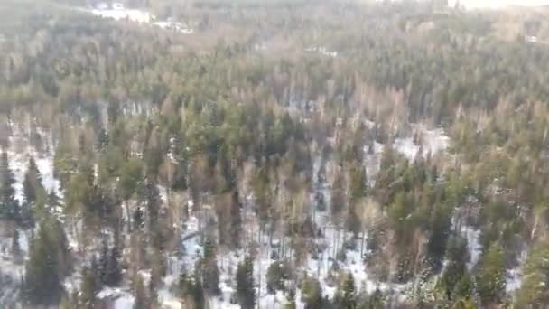 Вид з повітря над зимовим лісом пейзаж з вічнозеленими деревами і снігом біля Стокгольма, Швеція.  - Кадри, відео