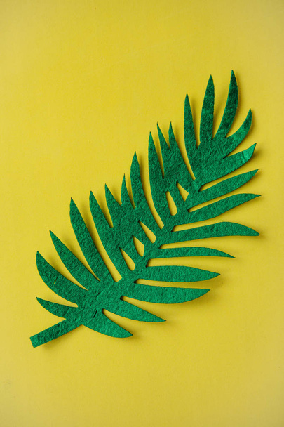 Повсть Тропічна листя папороті на жовтому фоні. - Фото, зображення