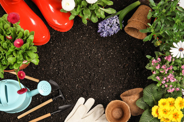 Flat lay composition with gardening equipment and flowers on soil, space for text - Valokuva, kuva