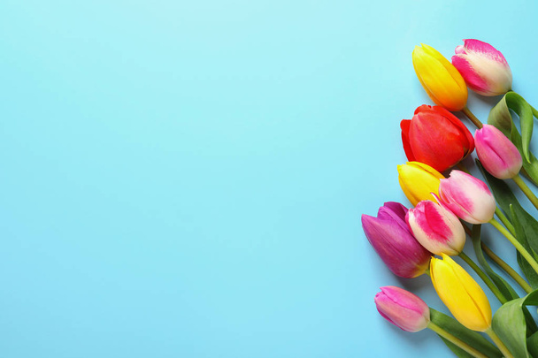 Beautiful spring tulip flowers on color background, top view. Space for text - Foto, afbeelding