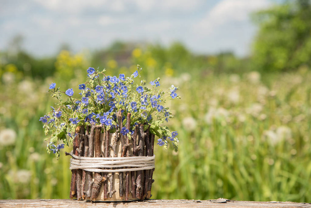 Букет красивых голубых цветочков, называемых "Незабываемые".
  - Фото, изображение