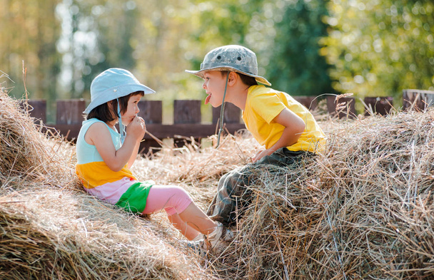 Children's relationships. Children girl and boy playing in the hay in the village during the summer holidays - Photo, Image