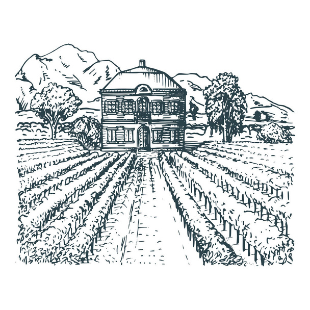 Illustrazione vettoriale della vigna. Schizzo a mano di villa, fattoria in campi e colline. Paesaggio mediterraneo disegnato
. - Vettoriali, immagini