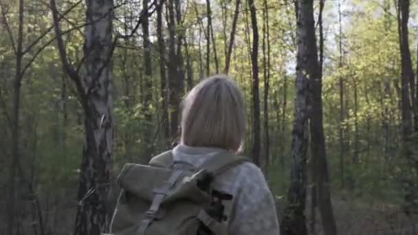 Молодая женщина, наслаждающаяся прогулками на природе в лесу Мьюир Вудс - Кадры, видео