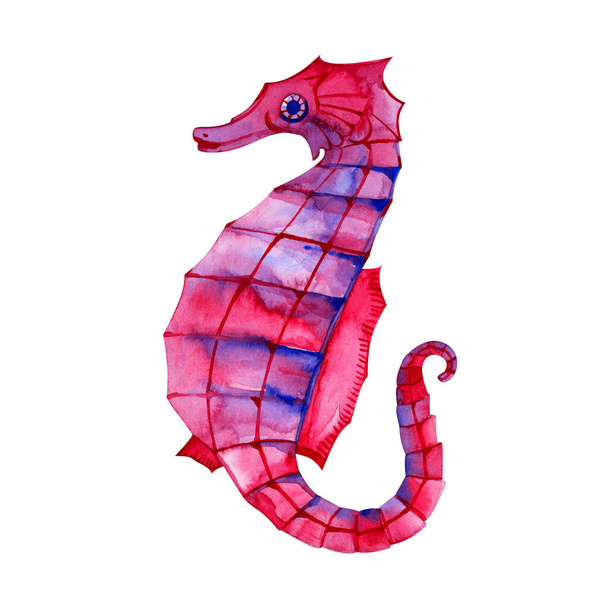 Watercolor colorful Seahorse, isolated illustration on white background. - Φωτογραφία, εικόνα