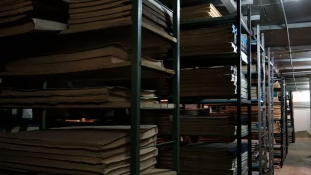 Een tiener in een wit overhemd loopt tussen de planken met documenten in de bibliotheek. Boekenkasten met oude literatuur. Archiefruimte of boek bewaarder in de schemering. Concept terug naar school. - Video