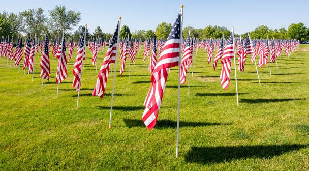 Banderas americanas en un parque de la ciudad ondeando en el viento
 - Foto, Imagen