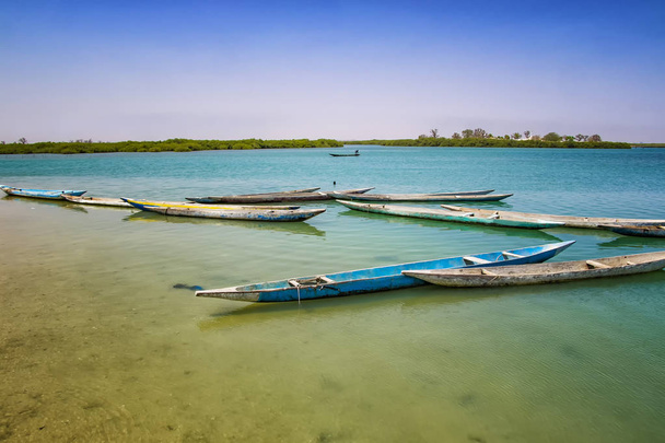 Ξύλινο κανό στη λιμνοθάλασσα της Σενεγάλης στην Αφρική. Είναι το Εθνικό Πάρκο της Φύσης Saloum, ένα καταφύγιο πουλιών. Στο βάθος είναι μπλε ουρανός και το νησί με μπαομπάμπ. - Φωτογραφία, εικόνα