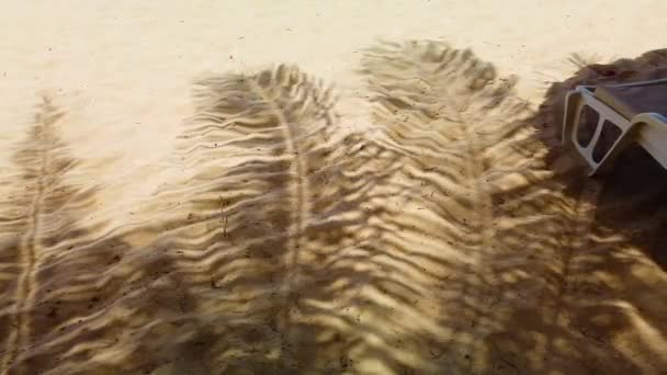 wideo 4K cienia liści palmowych na piaszczystej plaży. Cienie poruszają się lekko, gdy wiatr wieje. Jest tropikalny raj. - Materiał filmowy, wideo