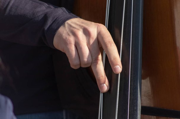 Double bass, hands playing and plunk contrabass strings, musical instrument player close up - Фото, зображення