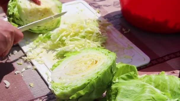 Slicing cabbage on a wooden board. Cutting cabbage with a knife. Spring salad - Footage, Video