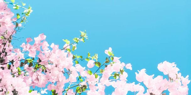 Bir rüya bahçesinde pastel pembe çiçeklenme çiçekler ve mavi gökyüzü, Flo - Fotoğraf, Görsel