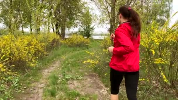 Mujer corriendo en el bosque a la hora de verano, vídeo en cámara lenta
 - Metraje, vídeo