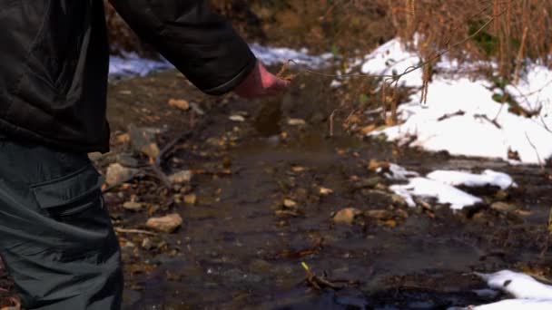 Man goes through creek, touches hazel buds and goes into distance  - Imágenes, Vídeo