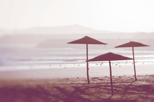 Пляжні парасольки на прекрасному пляжі в Марокко. Вибірковий - Фото, зображення