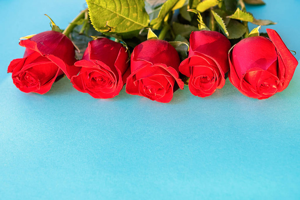 Vijf mooie rode rozen op blauwe achtergrond - Foto, afbeelding