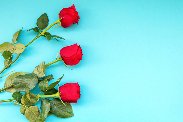 Three beautiful red roses isolated on blue background - Photo, image