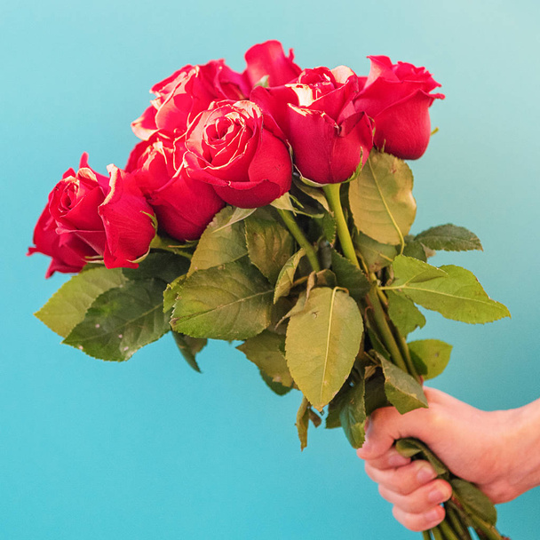 Man holds a bouquet of beautiful red roses on a blue background, close-up. International women's day, birthday, mother's day, Valentine's day - Foto, imagen