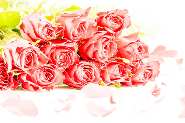 rosas rojas por amor
 - Foto, imagen