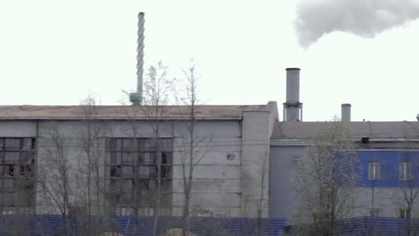 Tubos de fumar da planta
 - Filmagem, Vídeo