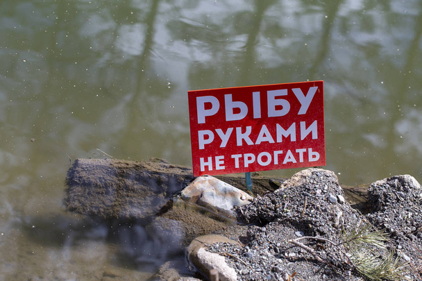 Schild "Berühren Sie den Fisch nicht" auf Russisch - Foto, Bild