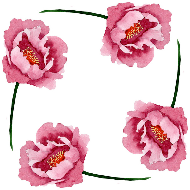 Fiori botanici floreali di peonia rosso scuro. Acquerello sfondo illustrazione set. Quadrato ornamento bordo cornice
. - Foto, immagini