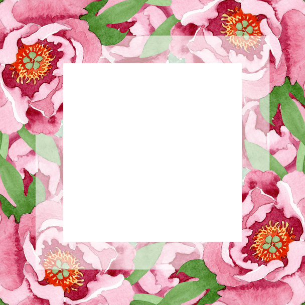 dunkelrote botanische Blüten der Pfingstrose. Aquarell Hintergrundillustration Set. Rahmen Rand Ornament Quadrat. - Foto, Bild
