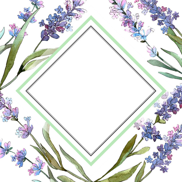 ブルーバイオレットラベンダーの花の植物の花。●水彩背景イラストセット。フレームボーダーオーナメント正方形. - 写真・画像